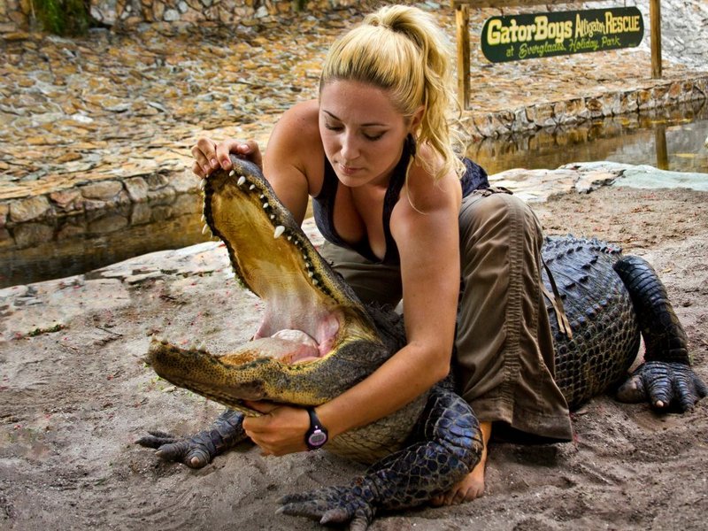 Эшли Лоуренс и крокодил